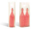 Translucent bag for 1 or 2 bottles : Bottles packaging