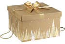 "Fir tree" kraft cardboard gift box : Boxes