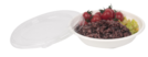 Bowl Bagasse : Vaisselle snacking