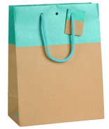 Chic two-tone bag with lagoon blue edge : Bags