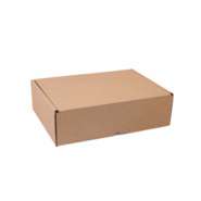 Shipping box 25x15x10 : Boxes