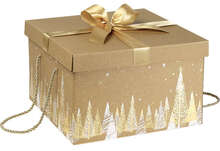 "Fir tree" kraft cardboard gift box : Celebrations