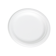 50 Bagasse plates : Events / catering