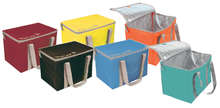 23L "Ice Cube" isothermal cooler bags : Bags