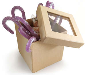 Product image Pandora's box with windowed lid