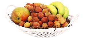 Product image Polypropylene fruit bowl 