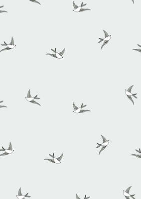 Product image Polypro "Silver Swallow" Rolls