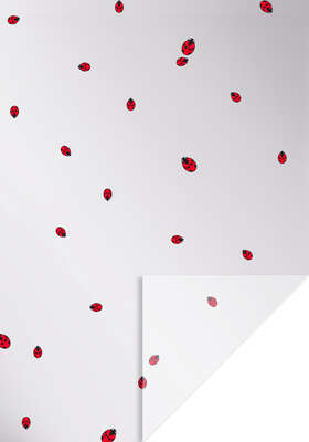 Product image Polypro Rolls "RED LADYBUGS"