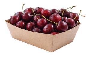 Product image 500 cardboard trays