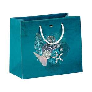 Product image Paper bag, damaged and iridescent