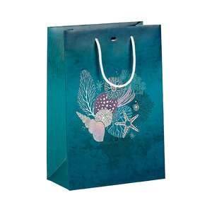 Product image Paper bag, damaged and iridescent