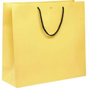 Product image Paper bag with black paper handles