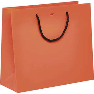 Product image Paper bag with black paper handles