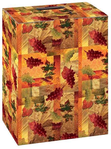 Product image Grapevine gift box for 6 bottles