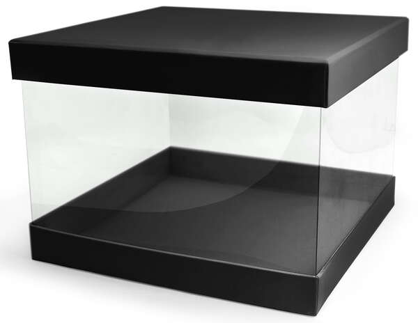 Product image Pack of 2 transparent Pandora's boxes