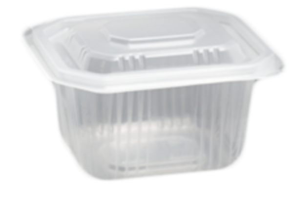 Product image 50 PP trays, BASE + transparent lid