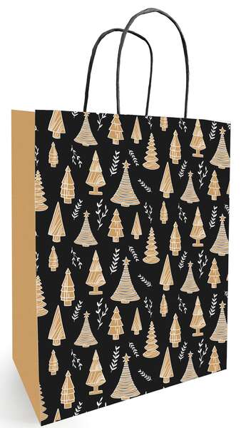 Product image Kraft bag 