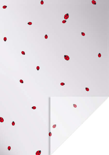 Product image Polypro Rolls 