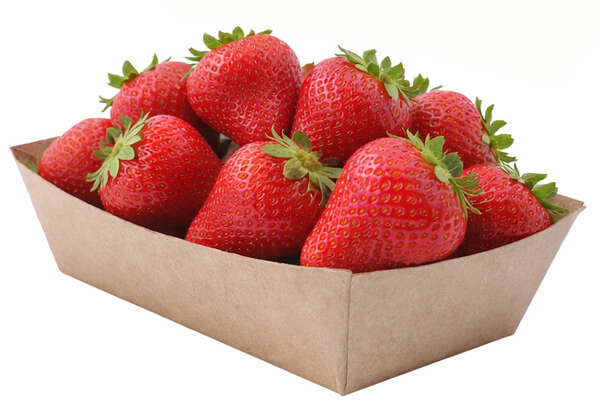 Product image 500 cardboard trays