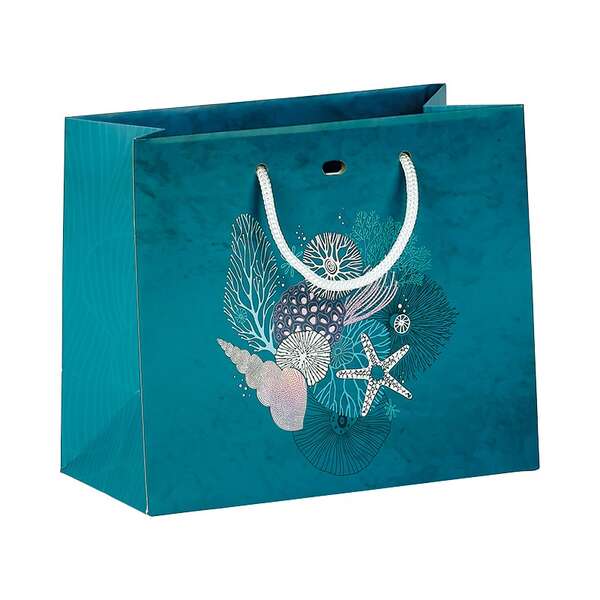 Product image Paper bag, damaged and iridescent