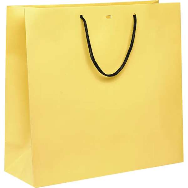 Product image Paper bag with black paper handles