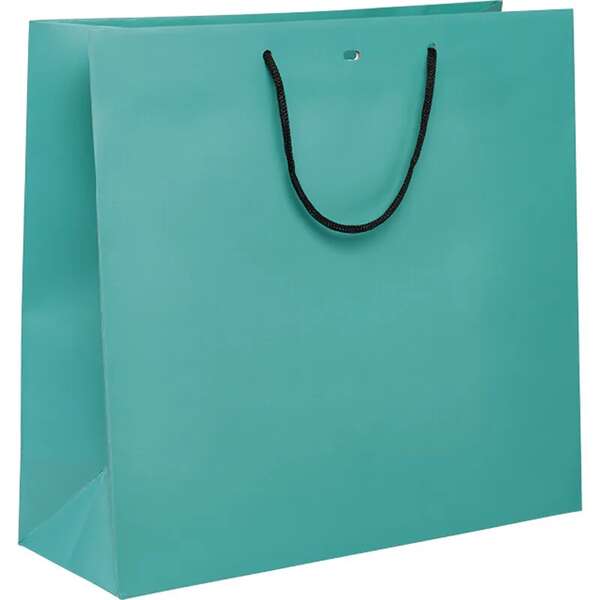 Product image Paper bag with black paper handles