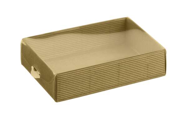 Product image Bin + Removable transparent lid