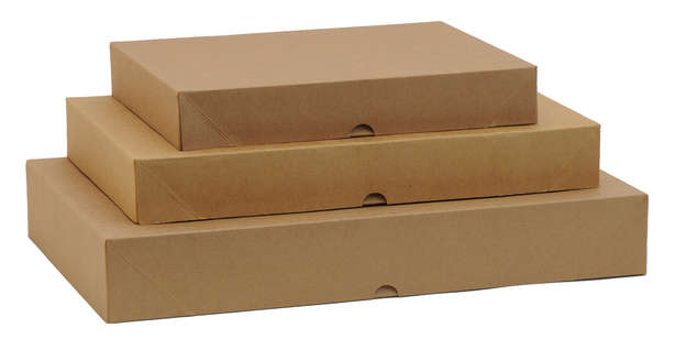 Boites Rectangulaires Papier Kraft : Boxes