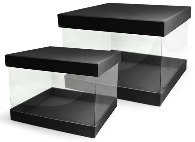 Pack of 2 transparent Pandora's boxes : Boxes