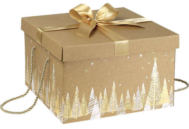 "Fir tree" kraft cardboard gift box : Boxes
