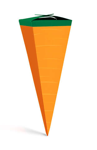 Cone-shaped surprise gift package, carrot : Boxes