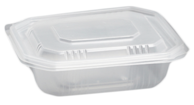 50 PP trays, BASE + transparent lid : Events / catering