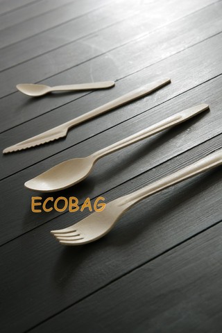 Biodegradable cutlery : Events / catering