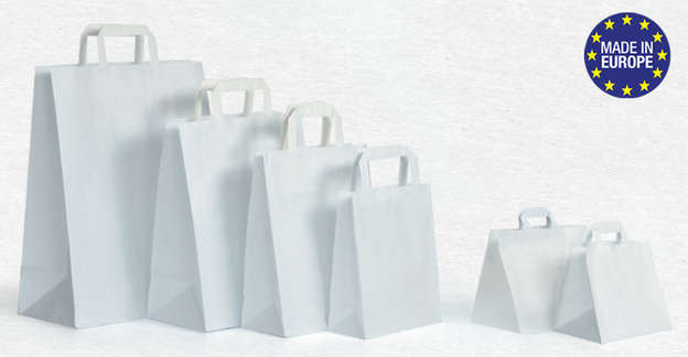 White Kraft paper bag - Flat handle : Bags